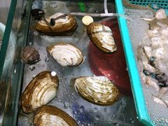 -胖子饺子馆·海鲜家常菜(海军博物馆店)