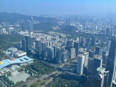 -平安金融中心云际观光层