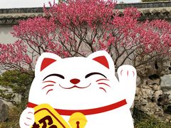 -无锡梅园公园