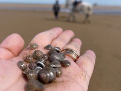 -东戴河风景区-止锚湾