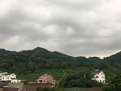 -龙井村