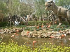 -北京野生动物园