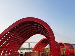 -芒洲湿地公园