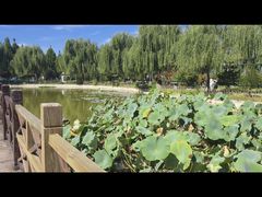 -兴芮温泉度假区