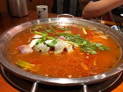 -新凯里酸汤鱼(飞山街店)