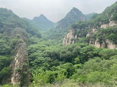 -大岭沟猕猴桃谷风景区