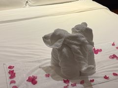 -三亚湾海居雅高铂尔曼度假酒店