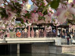 -元大都城垣遗址公园