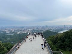 -紫金山山顶公园