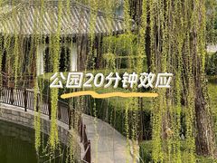 -团结湖公园