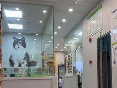 -瑞鹏宠物医院·微创内窥镜·骨外科·牙科(翠竹分院)