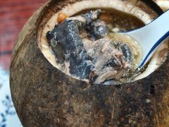 -達揚原味燉品(文明路店)