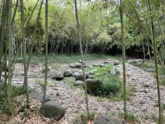 -新虹桥中心花园