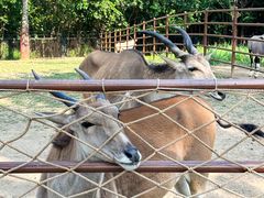 -大连森林动物园