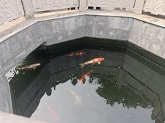 -西安市广仁寺