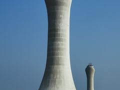 -中澳友谊花园