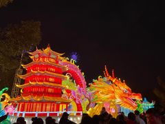 -武汉园博园(武汉自然博物馆)