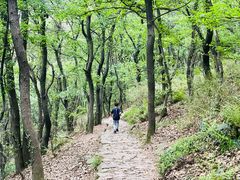 -惠山国家森林公园