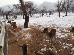 -西安秦岭野生动物园