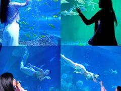 -威海华夏城景区