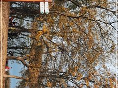 -佛手湖郊野公园
