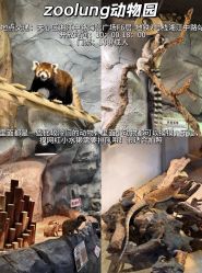 -Zoolung Zoolung动物主题公园(海信广场店)