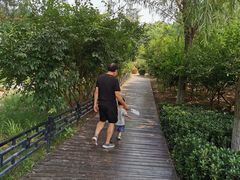 -大兴滨河森林公园