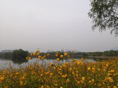 景点-白浮泉公园