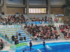-海合安成都极地海洋公园
