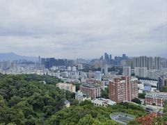 -福道