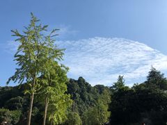 -禅驿嘉定院子-禅欢江景餐厅·中餐·户外烧烤定制(乐山大佛店)