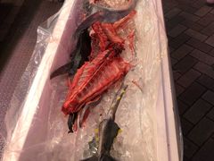 -大起水产回转寿司(道顿堀店)