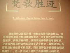 -宁夏博物馆