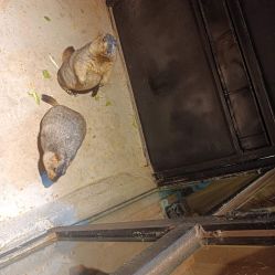 -酷嗒动物文化乐园(cutezoo西溪乐天城店)