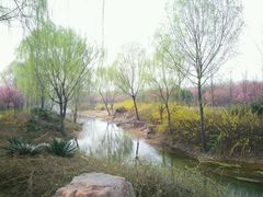 picture-洛阳国际大酒店