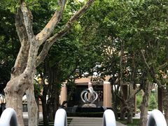 -山东省青岛第二中学(江西路分校)