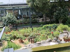 -蘇河湾·新鲁菜·泰山宴(泰山店)