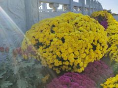 -洛阳市隋唐城遗址植物园