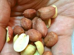 -刘艳明炒货(小心桥店)