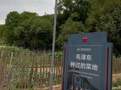 -延安杨家岭革命旧址