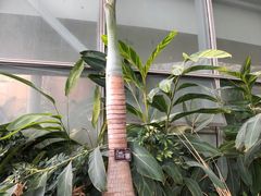 -郑州植物园