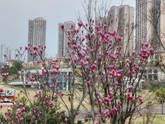-府河摄影公园