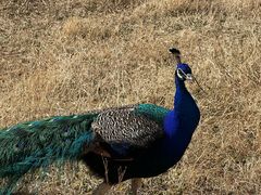 -云南野生动物园