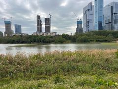 -华侨城湿地公园
