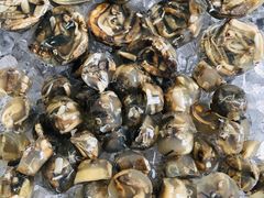 -铭聚章鱼土笋冻(松柏店)