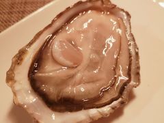 -斯普汇生蚝牛排馆(中骏世界城店)