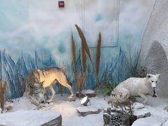 -西霞口神雕山野生动物世界