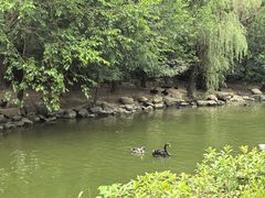 -常州淹城野生动物世界