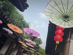 -天目湖山水园