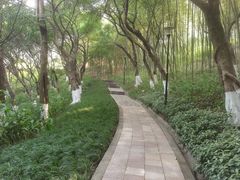 -龙头寺公园